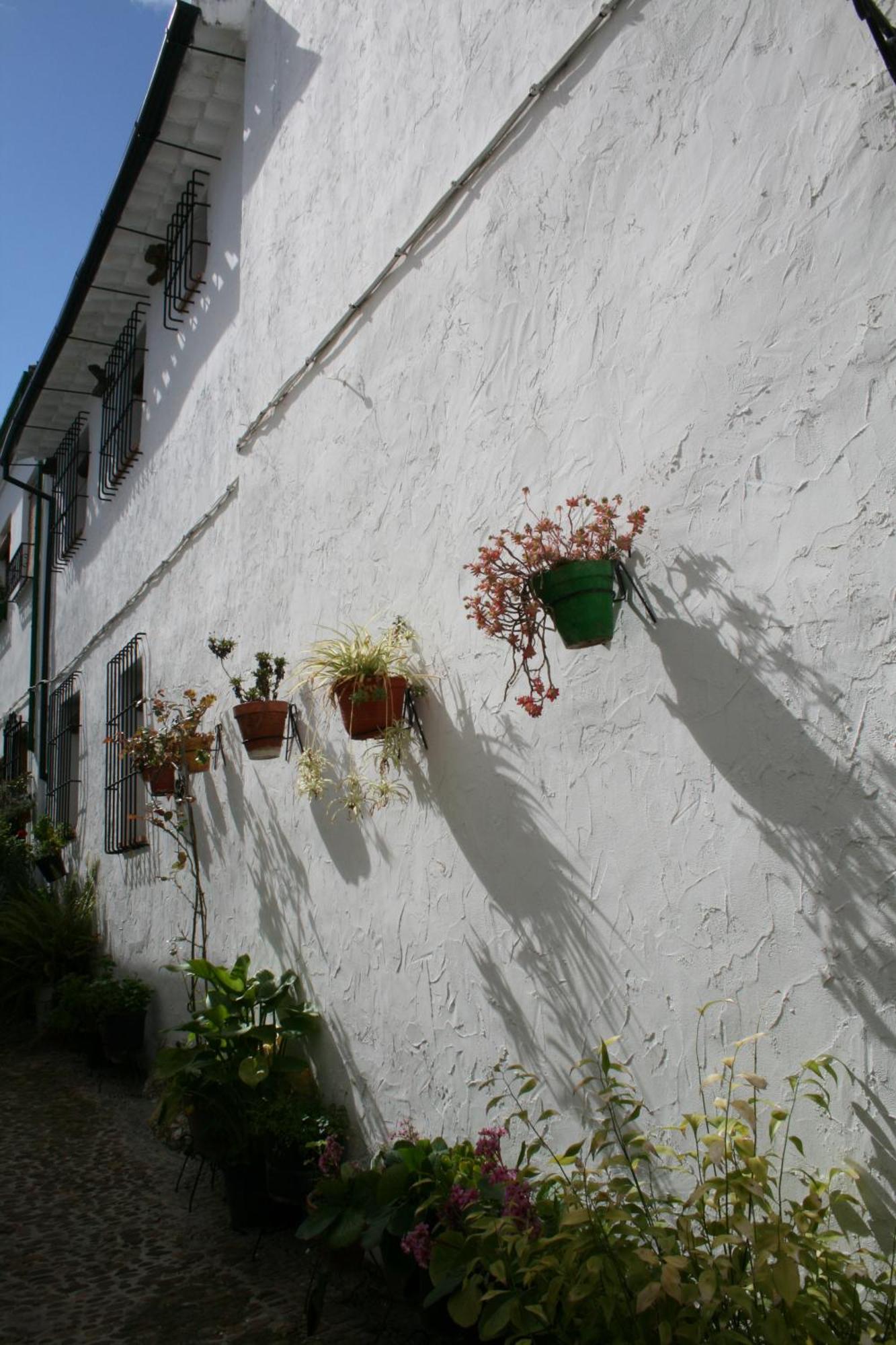 Casa Rural Zambra Priego De Cordoba Exterior photo